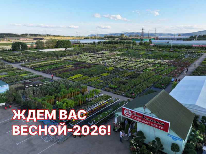 До свидания, до весны!