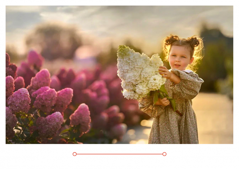 Испытание бессилием