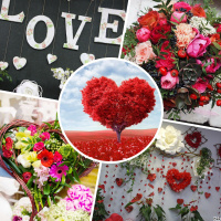 Цветы на 14 февраля