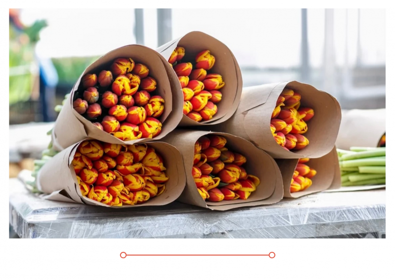 Тюльпаны можно купить в розницу по адресам.