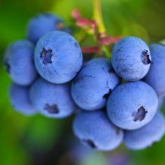 Основное изображение товара