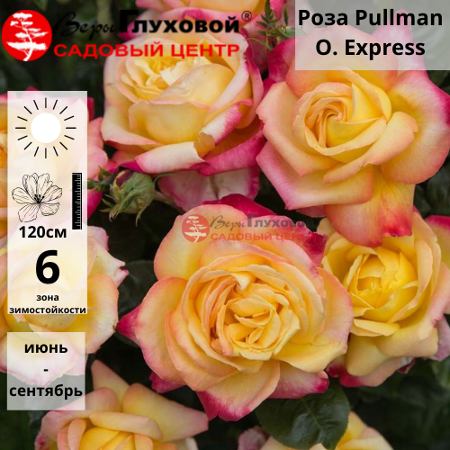 Основное изображение товара