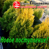 Новое поступление растений: май 2020