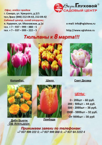 тюльпаны к 8 марта