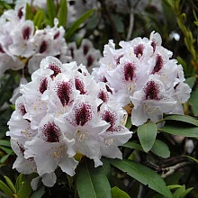 Основное изображение товара