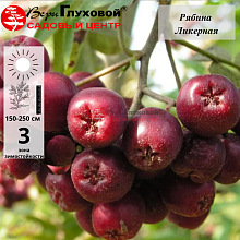 Основное изображение товара