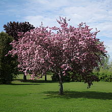 Основное изображение товара