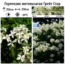 Основное изображение товара