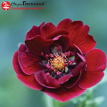 Основное изображение товара