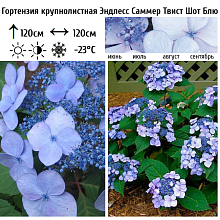 Основное изображение товара