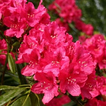 Основное изображение товара